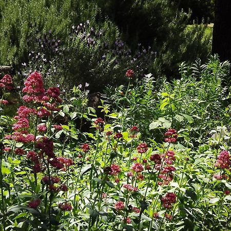 Backyard Garden Oasis Middletown Exterior foto