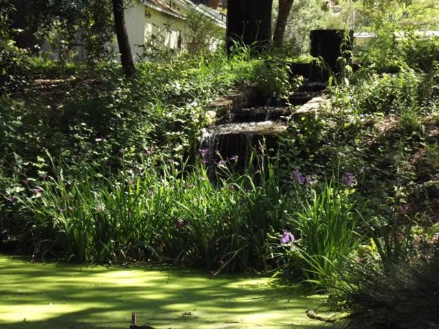 Backyard Garden Oasis Middletown Exterior foto