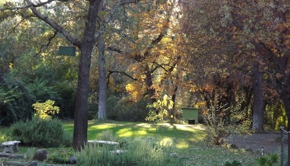 Backyard Garden Oasis Middletown Exterior foto