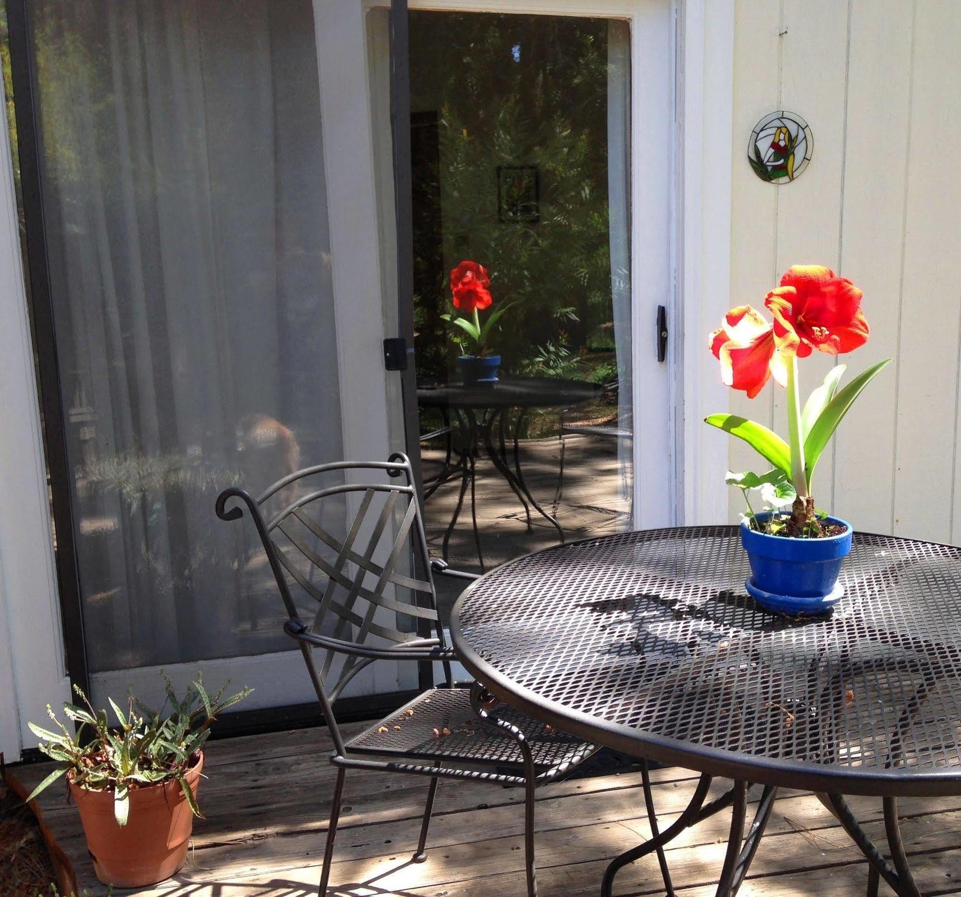 Backyard Garden Oasis Middletown Exterior foto